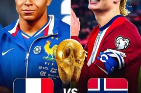 九游-关于哈兰德关键节点惊险取胜，法国队带队取胜！的信息